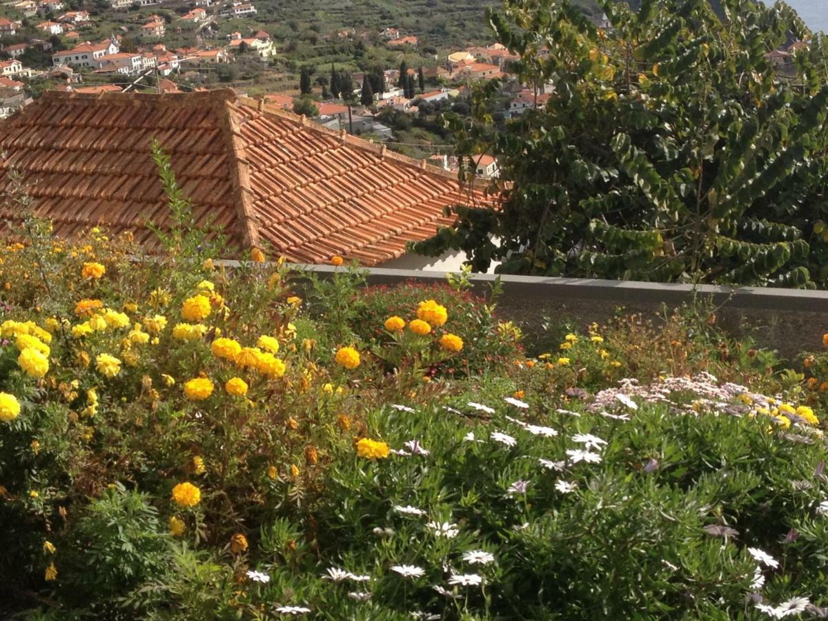 Villa Girasol Arco da Calheta  Luaran gambar