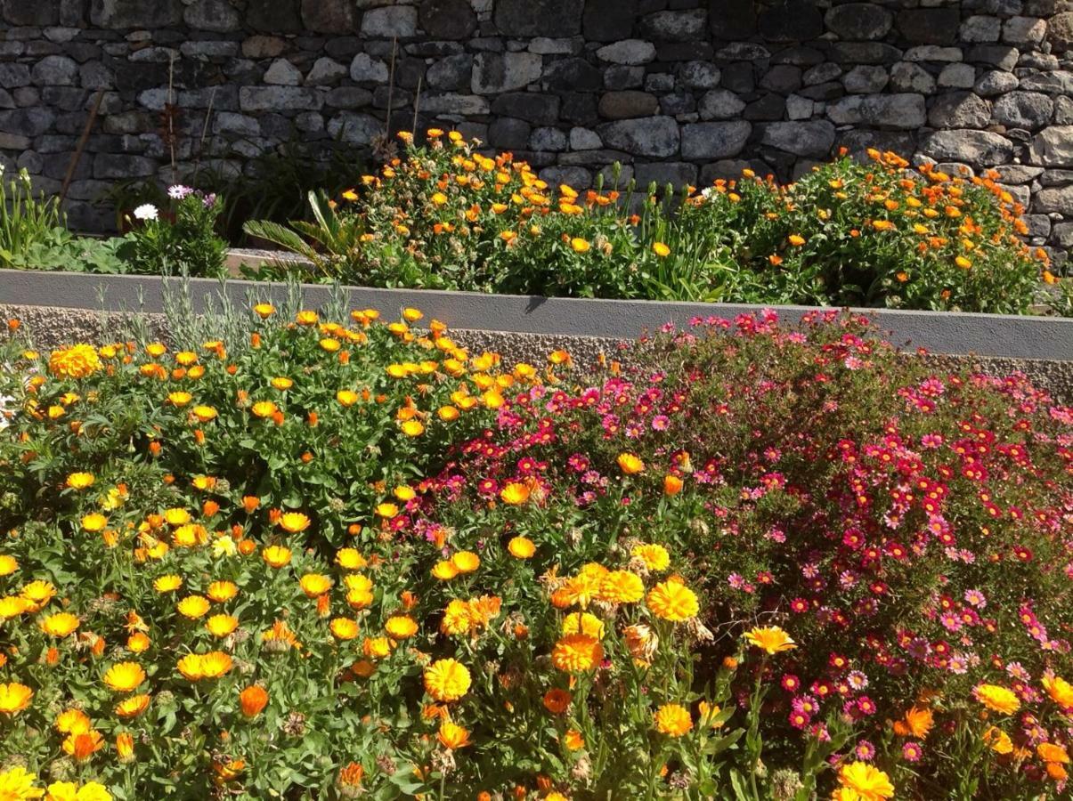 Villa Girasol Arco da Calheta  Luaran gambar